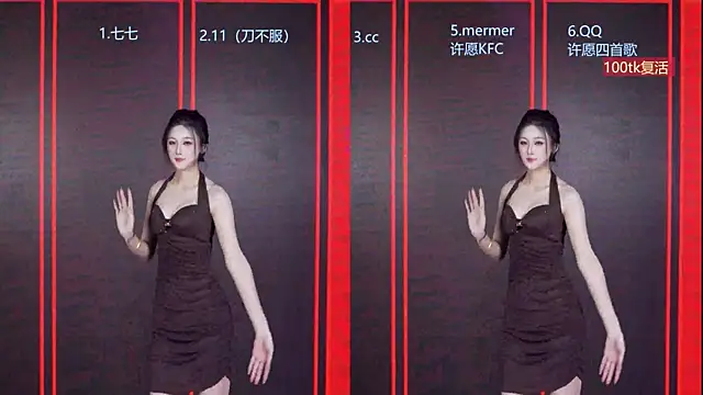 SK010 webcam
