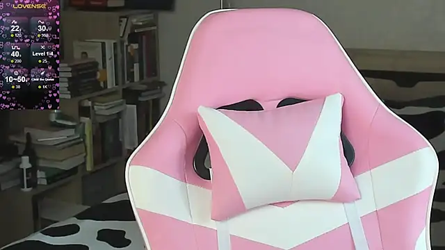 bbJ_one webcam
