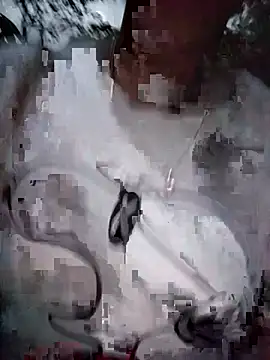 Ama-ra webcam
