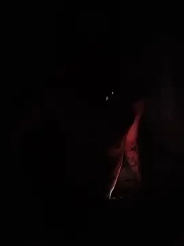 brytiagoBD55 webcam