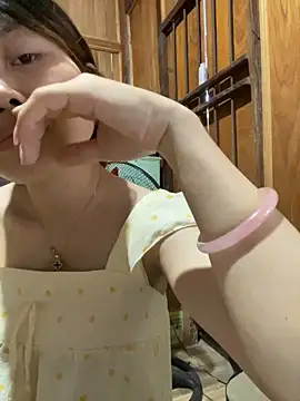 -Vaci- webcam