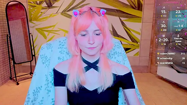 fleximona webcam