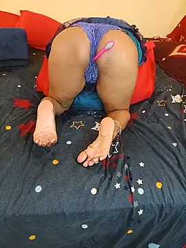 INDIANDESIMATURE webcam