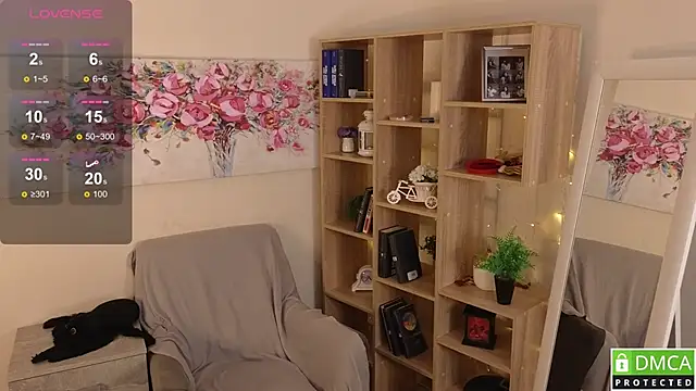 Sue_Sanders webcam