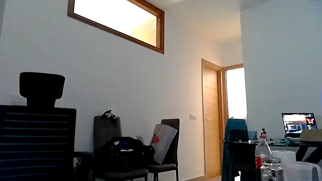 SphericalTulip99 webcam