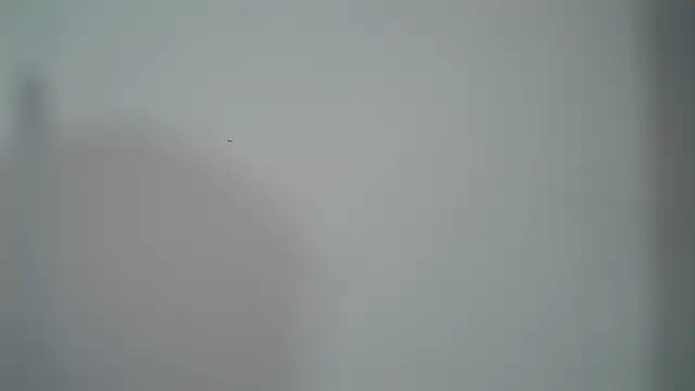 ElenaStone_ webcam