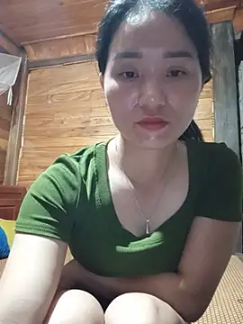 Td3di webcam