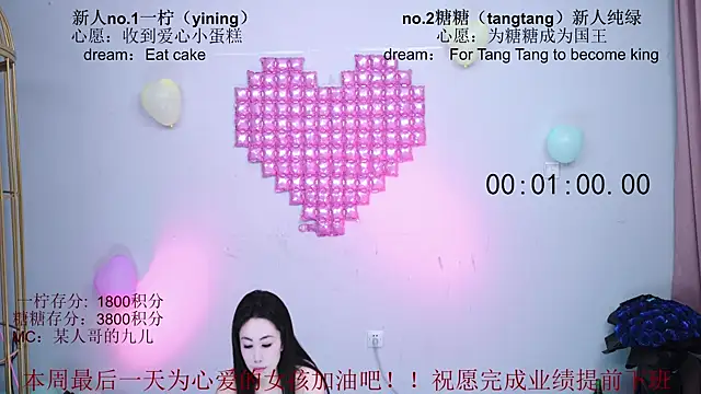 CCTW-100 webcam