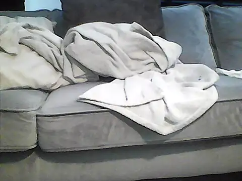perlados webcam