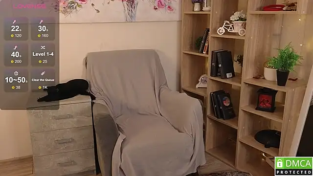 Sue_Sanders webcam
