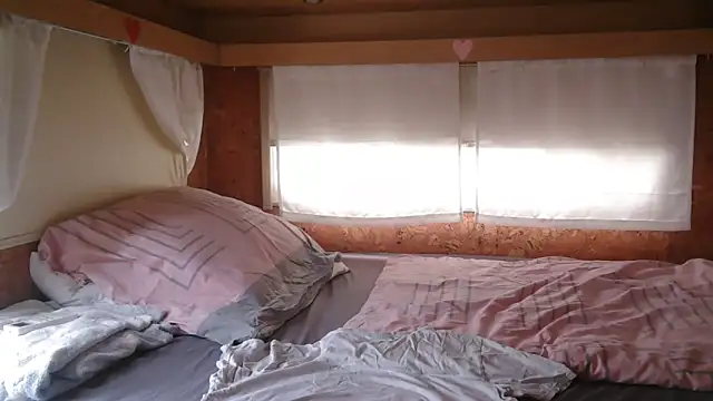 Sylly webcam