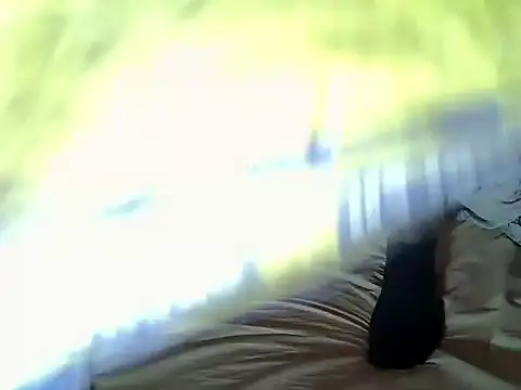 Xokitty29 webcam
