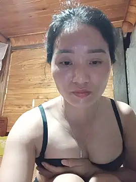 Td3di webcam