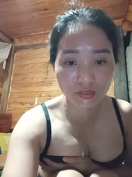 Td3di webcam