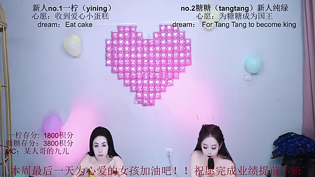 CCTW-100 webcam