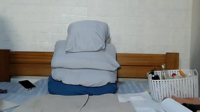 awild_kitten webcam