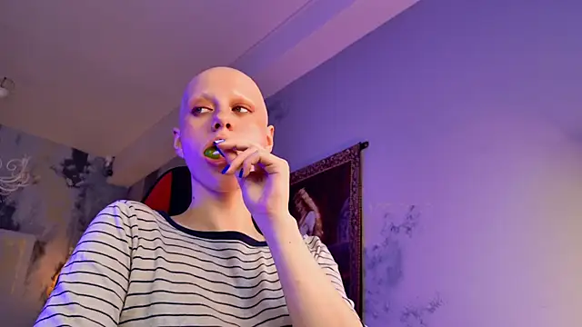 LidaDarknet webcam