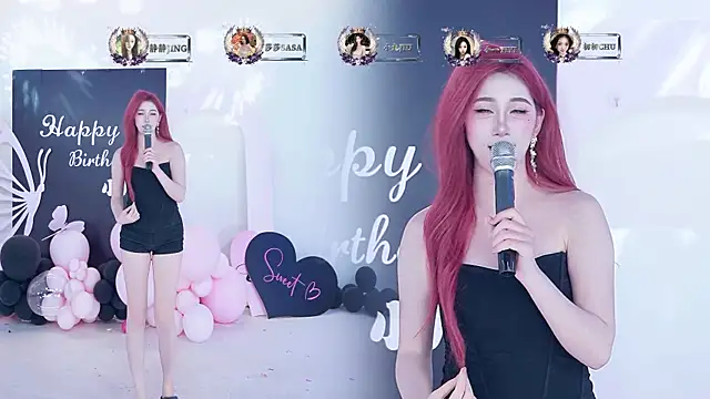 TY-002 webcam