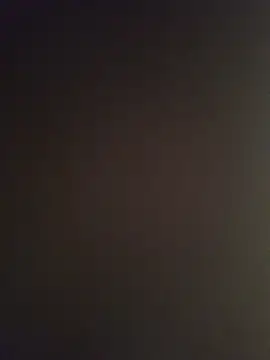 minnetird webcam