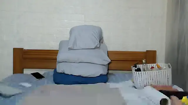 awild_kitten webcam