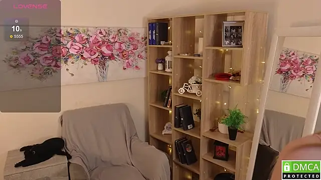 Sue_Sanders webcam
