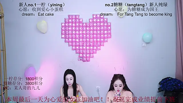 CCTW-100 webcam