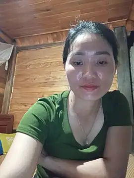 Td3di webcam