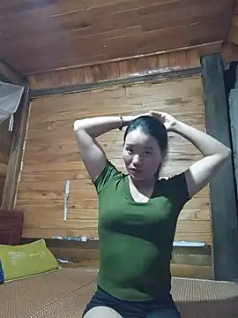 Td3di webcam