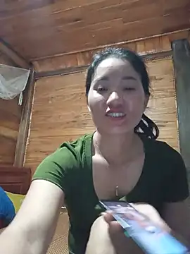 Td3di webcam