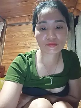 Td3di webcam