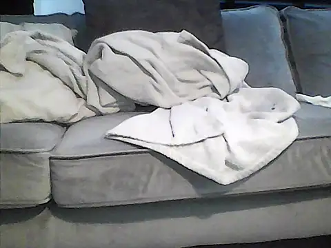 perlados webcam