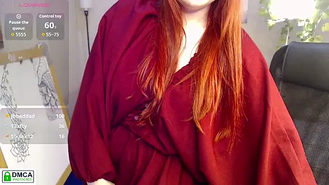 kuri_u webcam