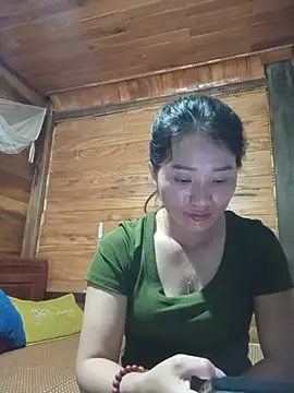 Td3di webcam