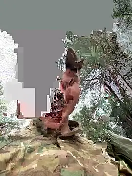 Lion21s webcam