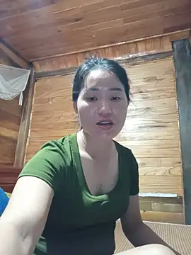 Td3di webcam