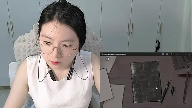Erya-369 webcam