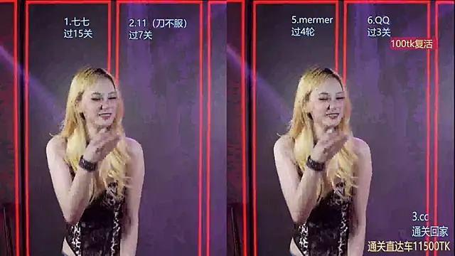 SK010 webcam