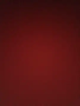 Singlecba webcam