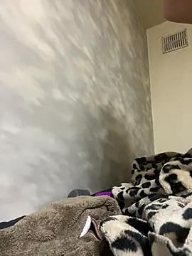 miyabi_room webcam