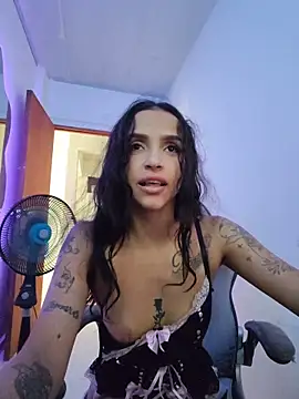 RoomExotic11 webcam