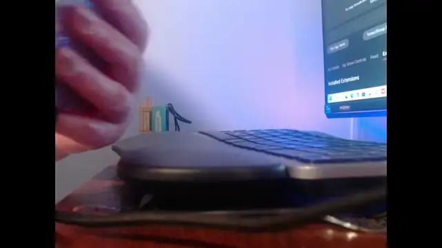 UrBRat webcam