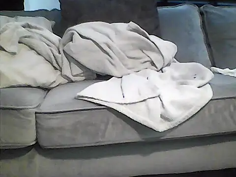 perlados webcam