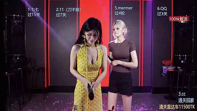 SK010 webcam