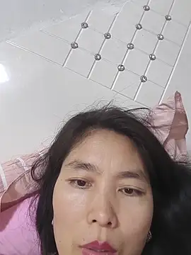 LL-001 webcam