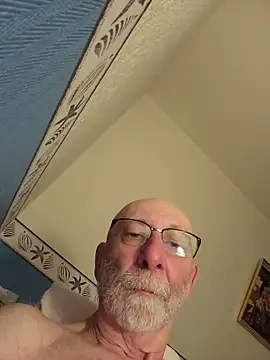 briochin webcam