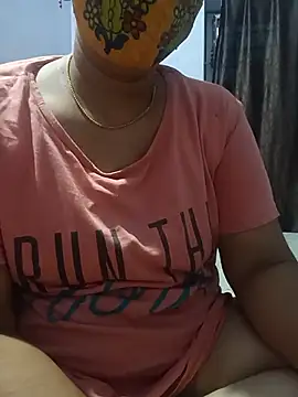 Hansikatelugu webcam
