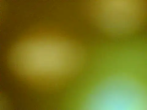 ninaluxe webcam