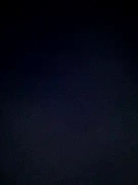 pune_model_111 webcam
