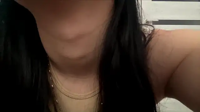 AiEsquer webcam