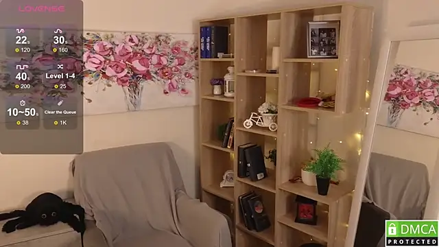 Sue_Sanders webcam